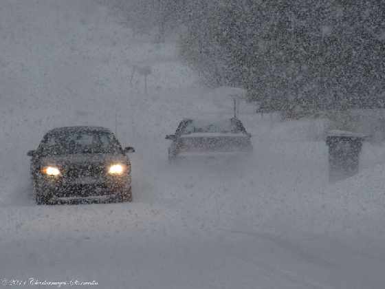 Snow squall watch issued for eastern P.E.I.