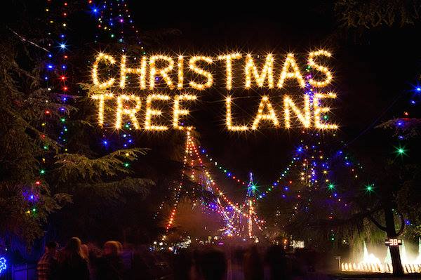 Fresno Christmas Tree Lane 2022 Fresno's Christmas Tree Lane - My 97.5 Fm