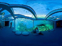 Oman to have an 8,000sqm aquarium by 2018!