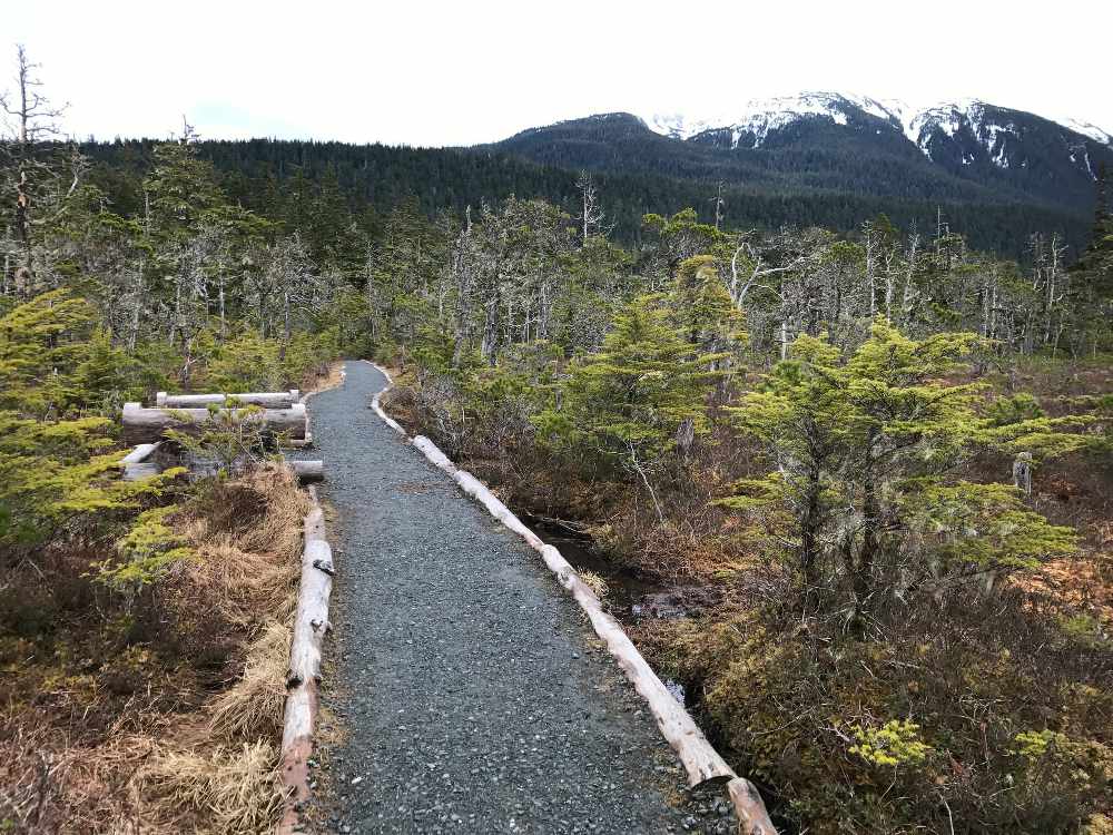 Register for the 4th annual walk Southeast, track your miles & enter to win big prizes - Vimarsana News