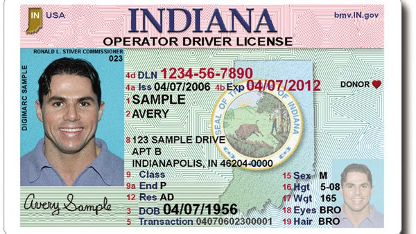 drivers license check indiana