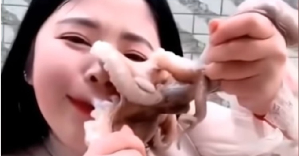 Chinese blogger tries to eat octopus alive, gets attacked  - PINOY  TALAGA!