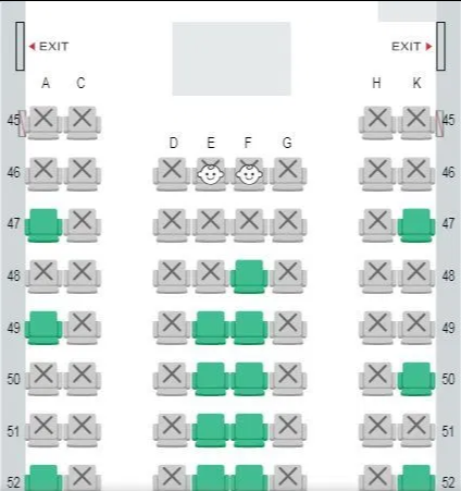 An airline has launched a new feature which lets you see where babies are sitting