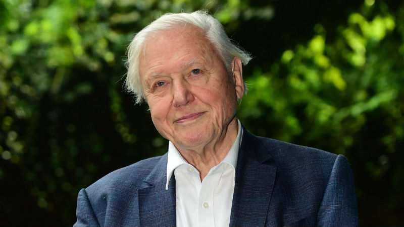 David Attenborough Says Human Beings Have Overrun The World Dublin S Fm104